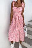 Nairobe Blush Ditsy Print Dress
