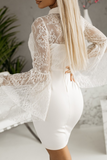 Giana Cream Lace Sleeve Dress