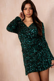 Giovani Green Velvet Sequin Dress