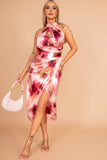 Girl In Mind Alessia Blush Print Dress