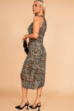 Girl In Mind Alessia Leopard Print Dress