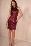 Gladis Burgundy Sequin Halter Neck Dress