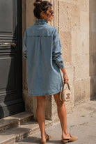 Hallie Blue Ruffle Collar Denim Dress