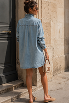 Hallie Blue Ruffle Collar Denim Dress