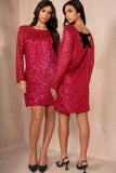 Hayzel Burgundy Sequin Dress