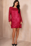 Hayzel Burgundy Sequin Dress