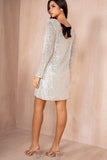 Hayzel Champagne Sequin Dress