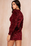 Kaddy Burgundy Velvet Sequin Dress