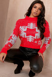 Lynn Red Tinsel Snowflake Knit Jumper