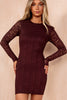 AX Paris Niamh Plum Lace Bodycon Dress