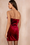 Queenie Burgundy Velvet Feather Dress
