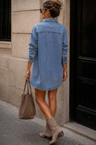 Quianna Blue Denim Collared Dress