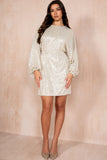 Rhea Champagne Sequin Belted Dress