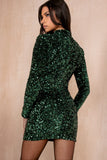 Rita Green Velvet Sequin Dress