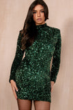 Rita Green Velvet Sequin Dress