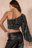 Tammy Silver Velvet Sequin Top
