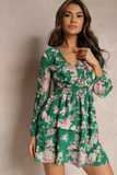 Alexandra Green Rose Print Dress